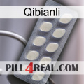 Qibianli 08